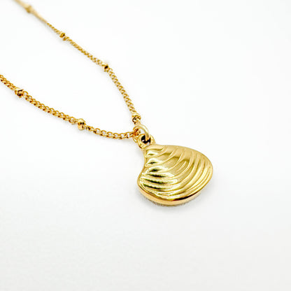 Calista Gold Shell Pendant Necklace