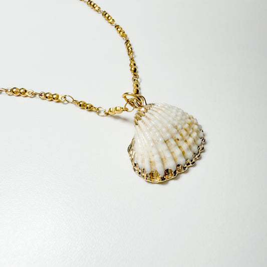 Sorrento Shell Pendant Necklace